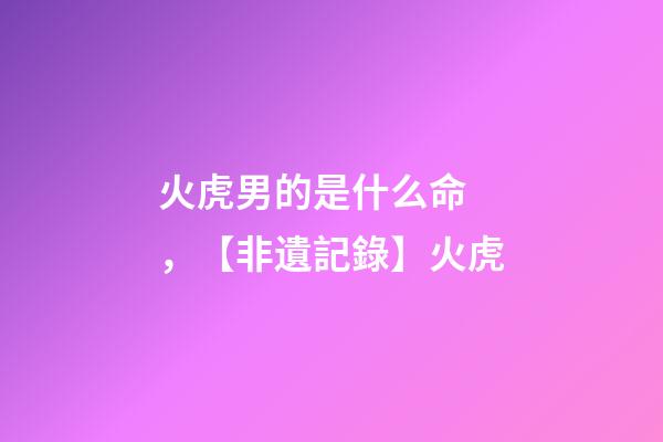 火虎男的是什么命，【非遺記錄】火虎